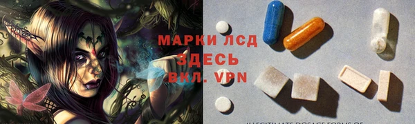 прущие грибы Осташков
