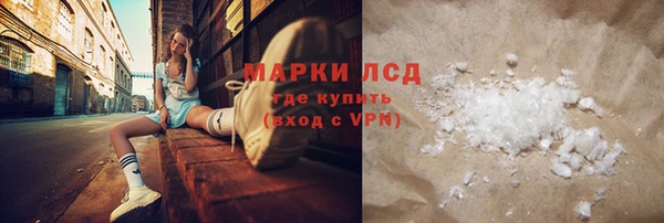 прущие грибы Осташков