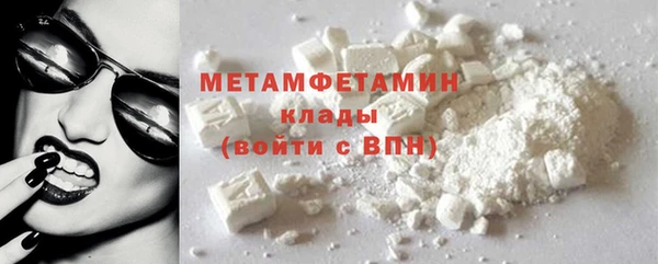 прущие грибы Осташков