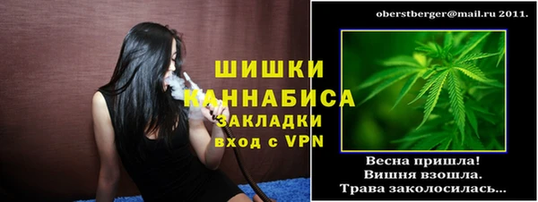 крисы Осинники