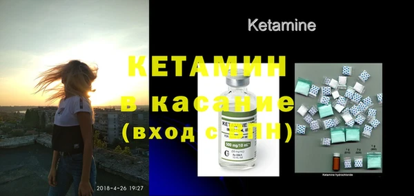 прущие грибы Осташков