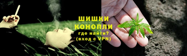 крисы Осинники