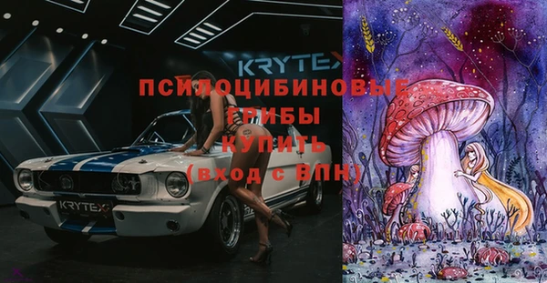 прущие грибы Осташков