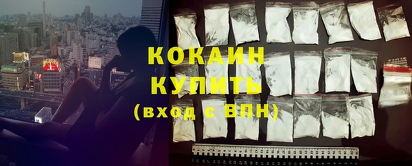 прущие грибы Осташков