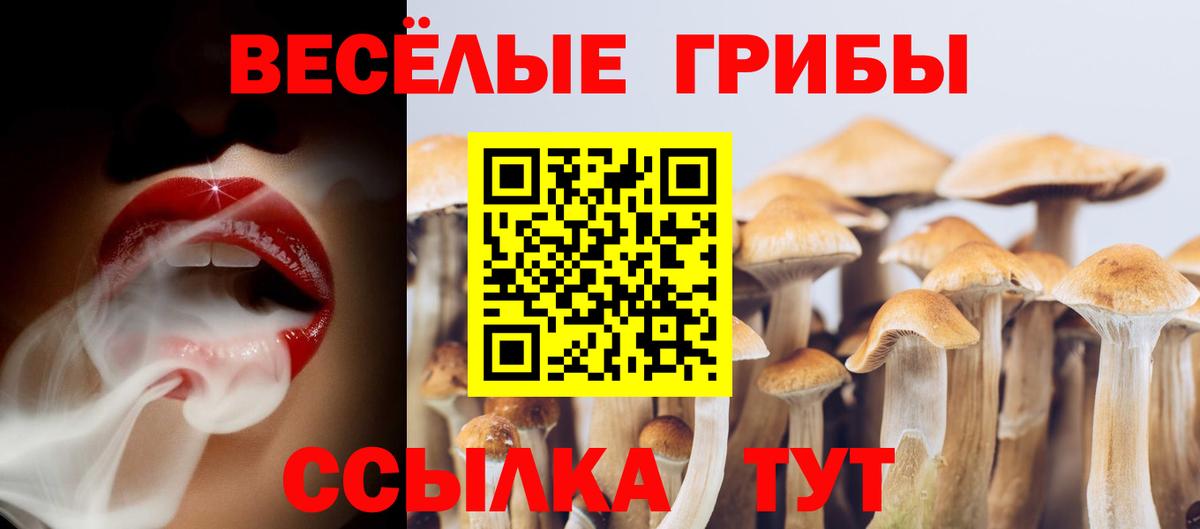 Благовещенск  Псилоцибиновые грибы прущие грибы  Вход с VPN  Псилоцибиновые грибы ЛСД 
